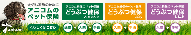 どうぶつ健保